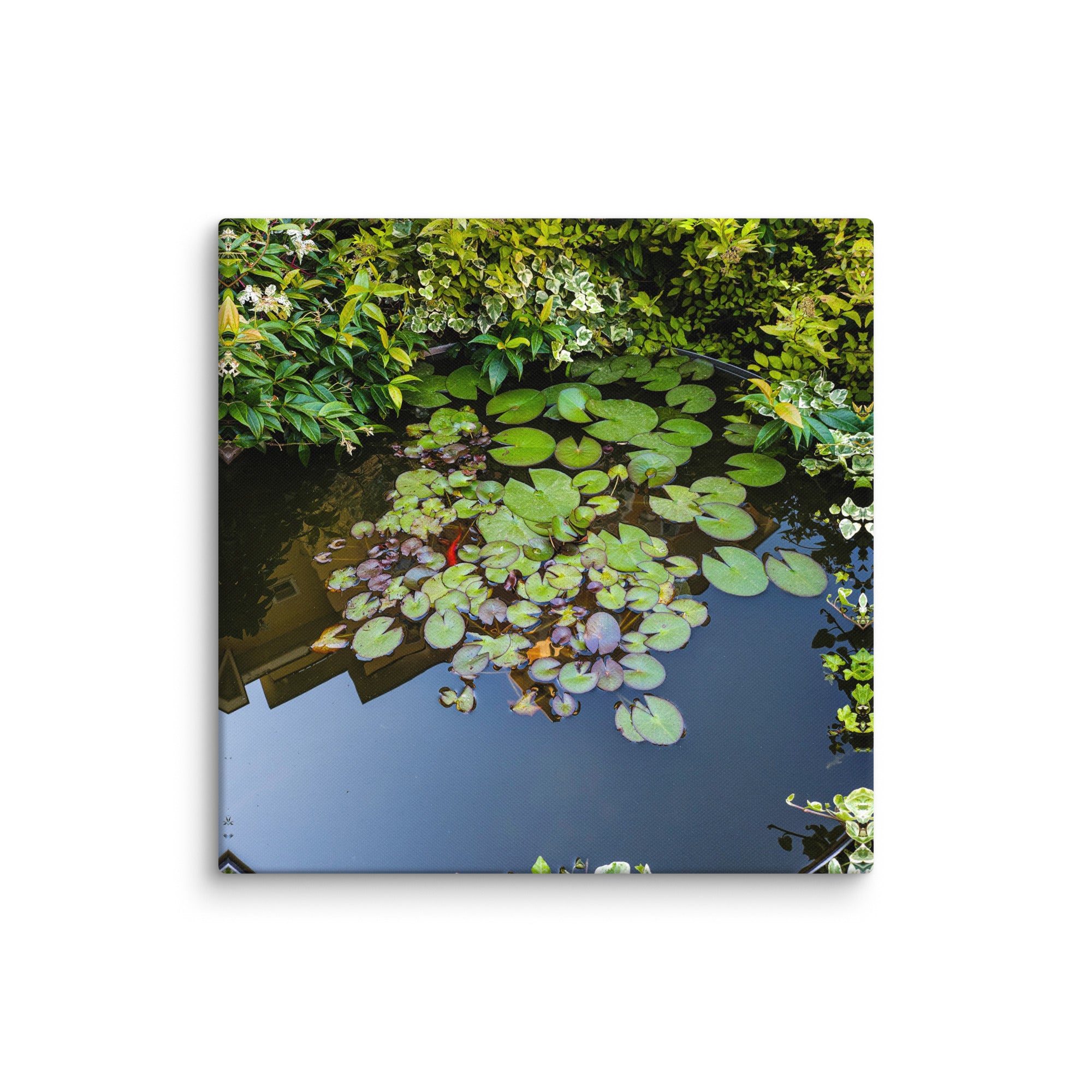 Canvas of a Pond and Lily Pads in Darfo Boario Terme Italy - Rosetta Creative Boutique